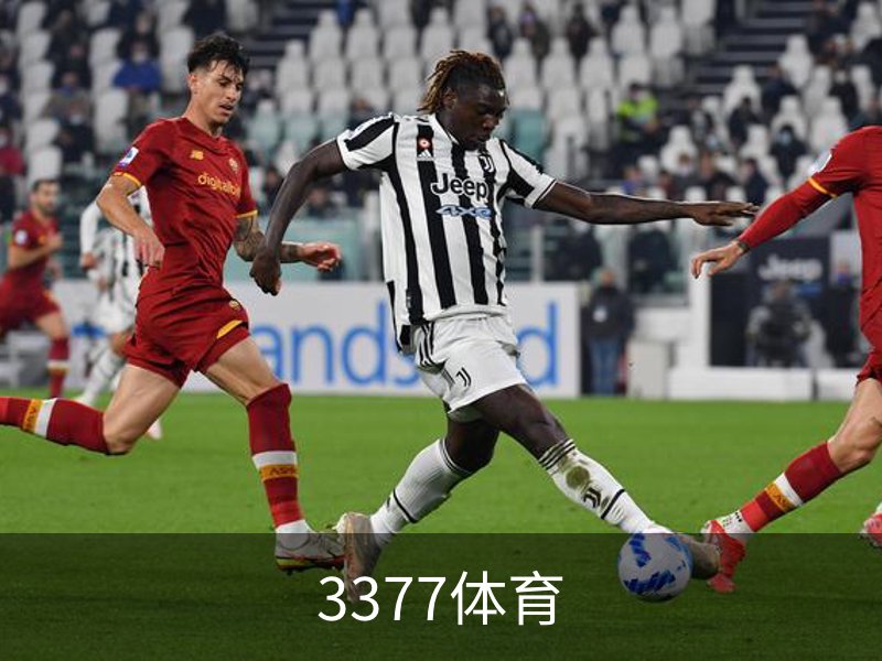 了解3377体育
